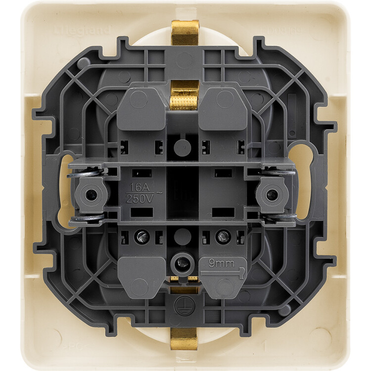 Розетка 2-я (в сборе) С/У с з/к (2P+E) 16А слон. кость, винт. Inspiria