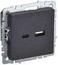 Розетка USB A+C 18Вт черн. РЮ11-1-БрЧ скрыт. уст. BRITE IEK-USB-розетки (зарядные устройства) - купить по низкой цене в интернет-магазине, характеристики, отзывы | АВС-электро
